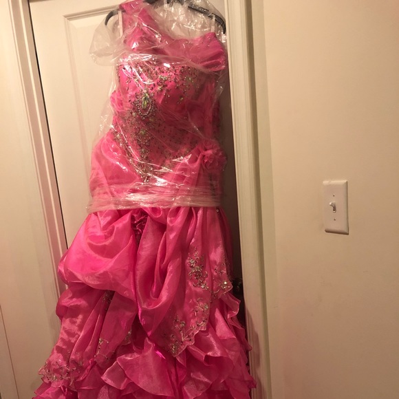 Quinceañera/Prom Dress - Picture 6 of 8